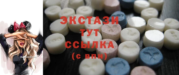 дживик Богородицк